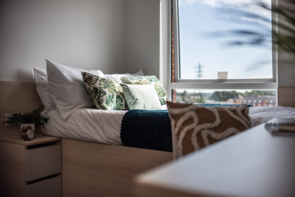 Copyright Protected – Please get in touch if you wish to use this image.